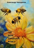Где мои двадцать фляг