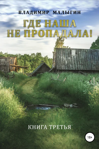 Где наша не пропадала  3