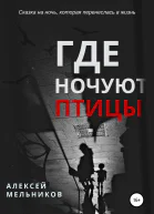 Где ночуют птицы