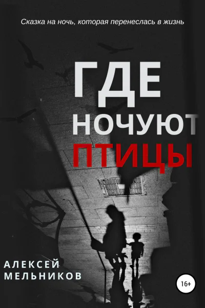 Где ночуют птицы