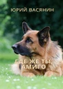 Где же ты Амиго