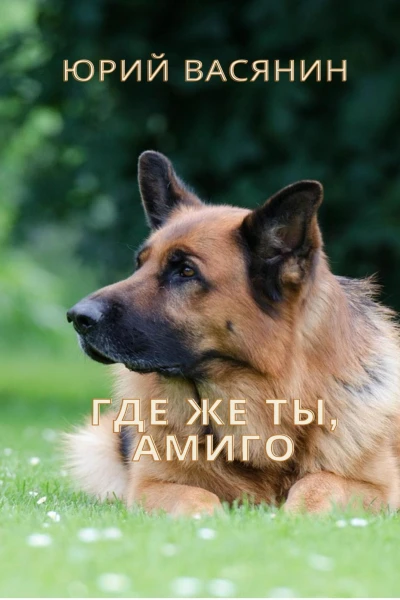 Где же ты Амиго
