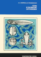 Гены и развитие организма