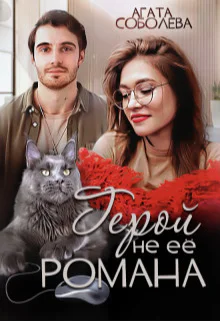 Герой не её романа СИ