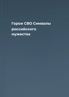 Герои СВО Символы российского мужества