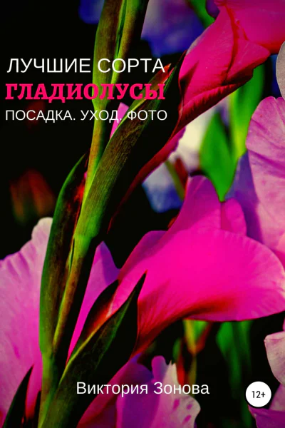 Гладиолусы Лучшие сорта
