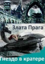 Гнездо в кратере