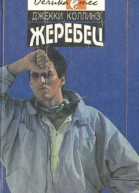 Голливудский зоопарк