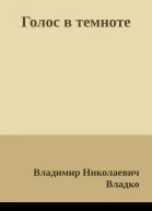 Голос в темноте