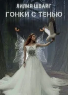 Гонки с тенью СИ