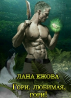 Гори любимая гори