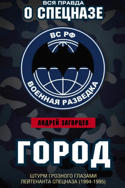 Город Штурм Грозного глазами лейтенанта спецназа 19941995
