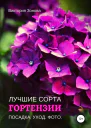 Гортензии Лучшие сорта