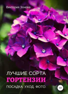 Гортензии Лучшие сорта