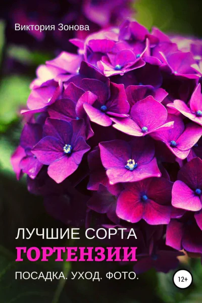 Гортензии Лучшие сорта