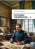 Господин следователь Книга 4 СИ