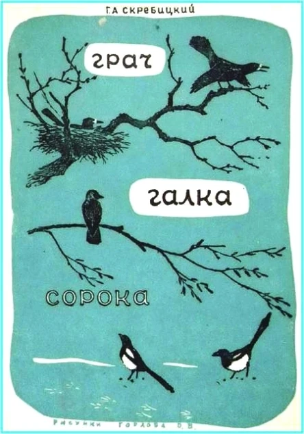 Грач Галка Сорока