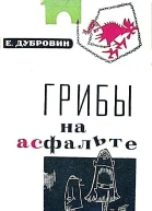 Грибы на асфальте