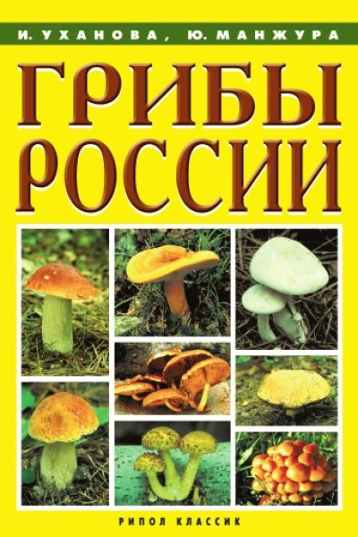 Грибы России