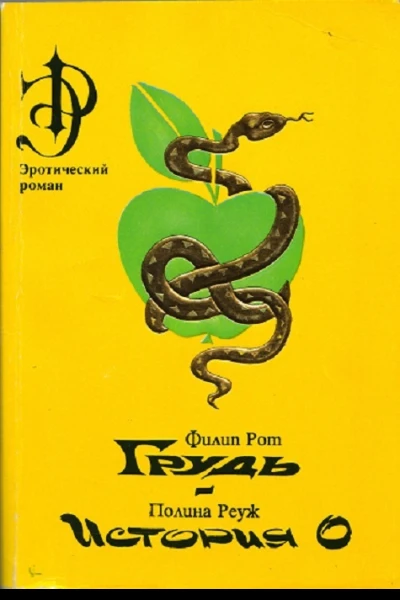 Грудь