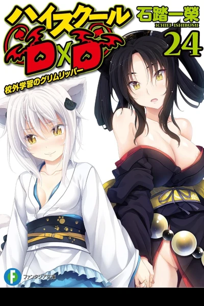 High School DxD 24 том