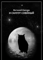 И силуэт совиный