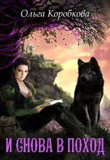 И снова в поход СИ