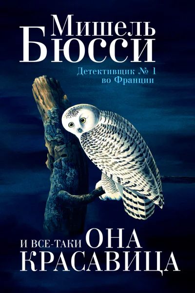 И всетаки она красавица Роман  Бюсси Мишель Пер с фр Е Клоковой