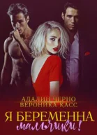 Я беременна мальчики