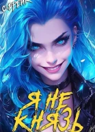 Я не князь Книга XIII
