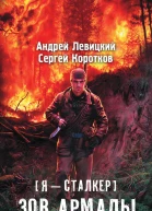 Я  сталкер Зов Армады  фантастический роман  Андрей Левицкий Сергей Коротков