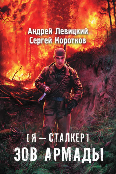 Я  сталкер Зов Армады  фантастический роман  Андрей Левицкий Сергей Коротков