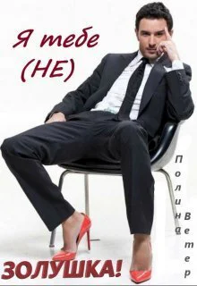 Я тебе не Золушка СИ