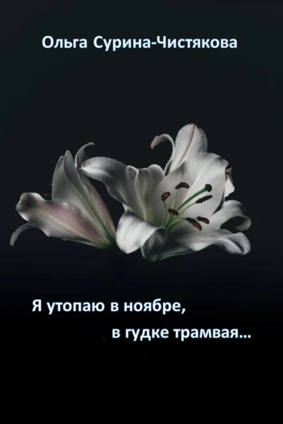 Я утопаю в ноябре в гудке трамвая