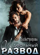 Идеальный развод