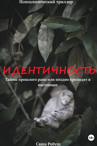 Идентичность