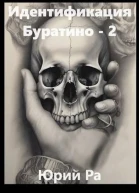 Идентификация Буратино  2