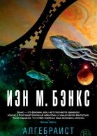 Иэн М Бэнкс Алгебраист