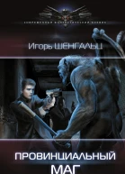 Игорь Шенгальц Провинциальный маг