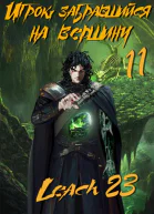 Игрок забравшийся на вершину Том 11