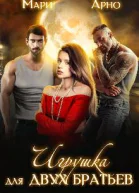 Игрушка для двух братьев