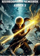 Иллюзорный чемпион Книга 3