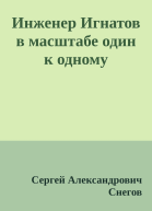 Инженер Игнатов в масштабе один к одному