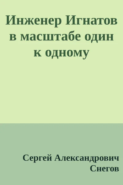 Инженер Игнатов в масштабе один к одному