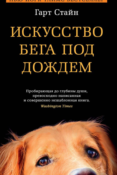 Искусство бега под дождем