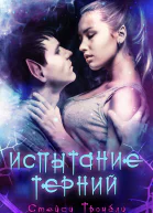 Испытание Терний