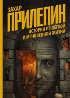 Истории из лёгкой и мгновенной жизни