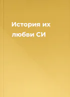 История их любви СИ