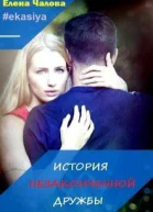 История незаконченной дружбы СИ