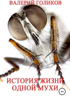 История жизни одной Мухи
